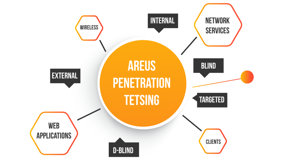 What is penetration testing